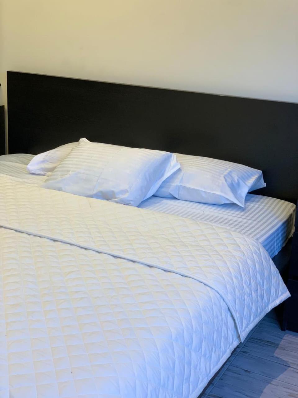 Apartment شقه فندقيه برج أم كلثوم Zamalek 3bd